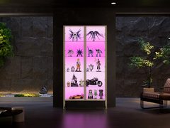 Figuren-Vitrine FG2001, Ansicht 3